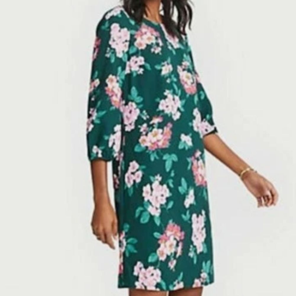 Ann Taylor Tropical Floral Shift Aline Dress Green Pink Size M